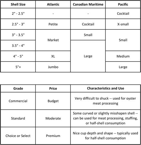 oyster size chart